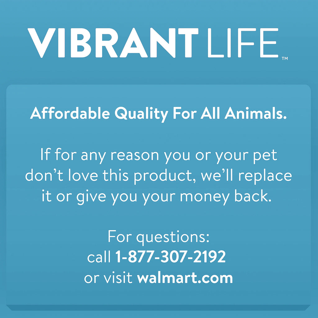 Blue 24 2-Door Plastic Pet Carrier U903
