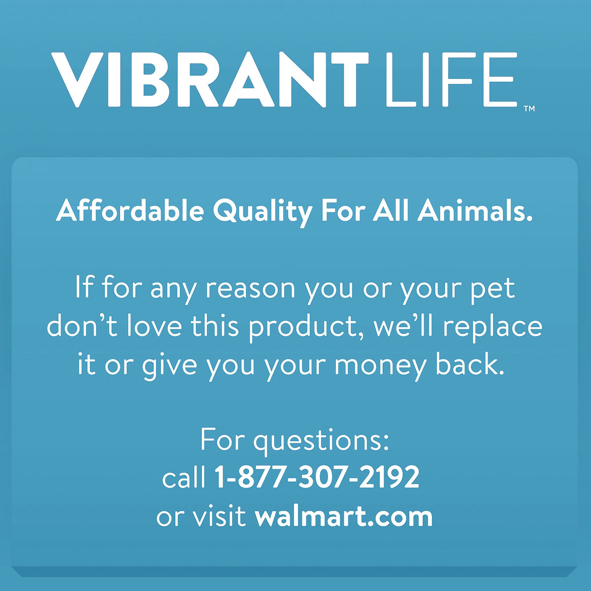 Blue 24 2-Door Plastic Pet Carrier U903