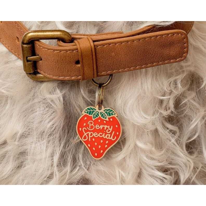 Pet ID Tag D148