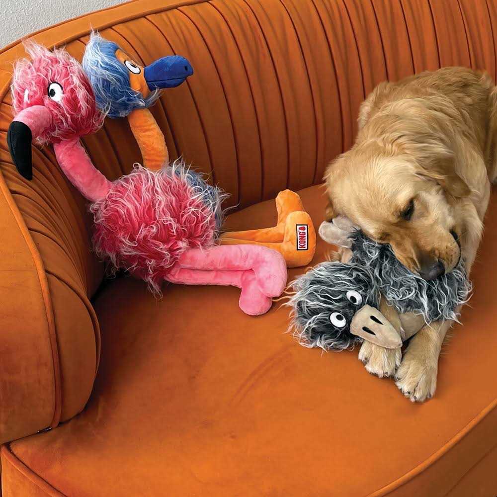 Jumbo Birds Dog Toy B124