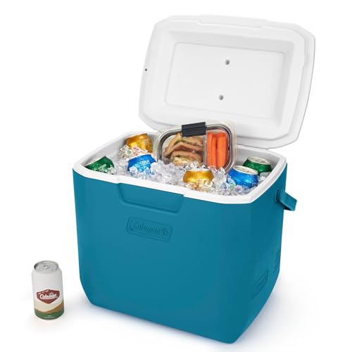 30qt Insulated Portable Cooler with Carry Handle N38464