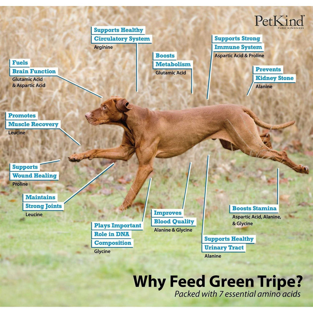 Beef Tripe Formula Dry Dog Food A873227