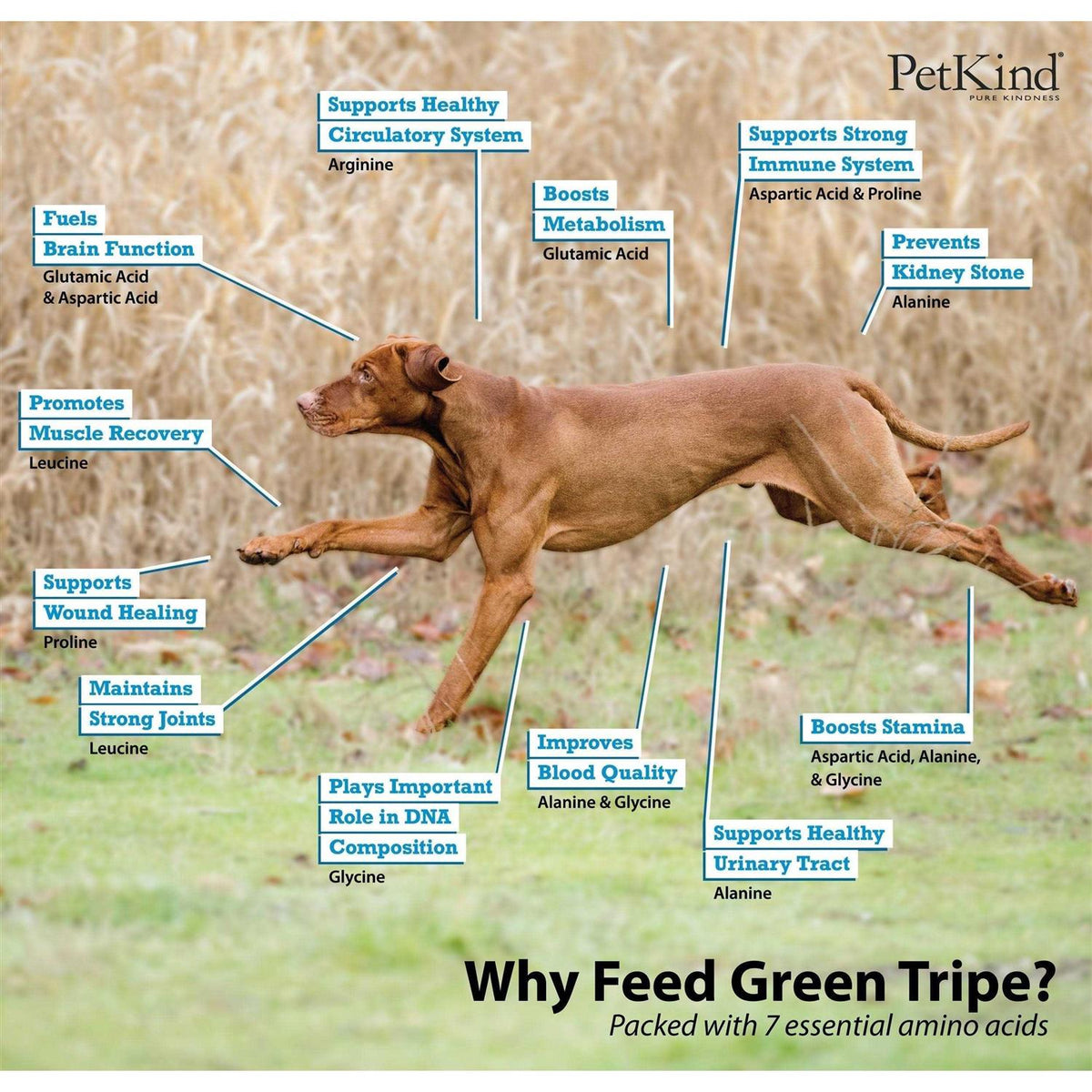 Beef Tripe Formula Dry Dog Food A873227