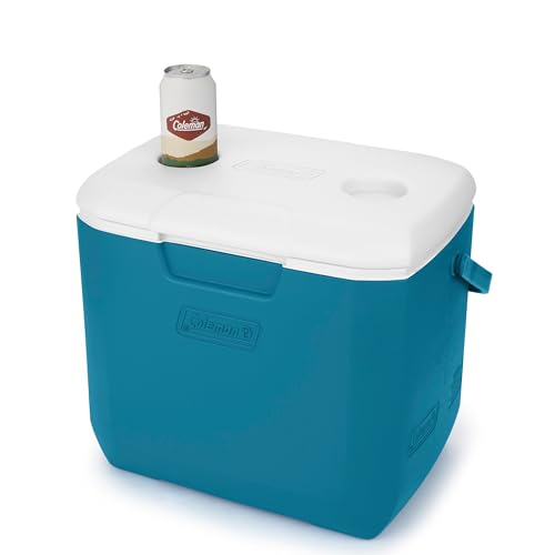 30qt Insulated Portable Cooler with Carry Handle N38464