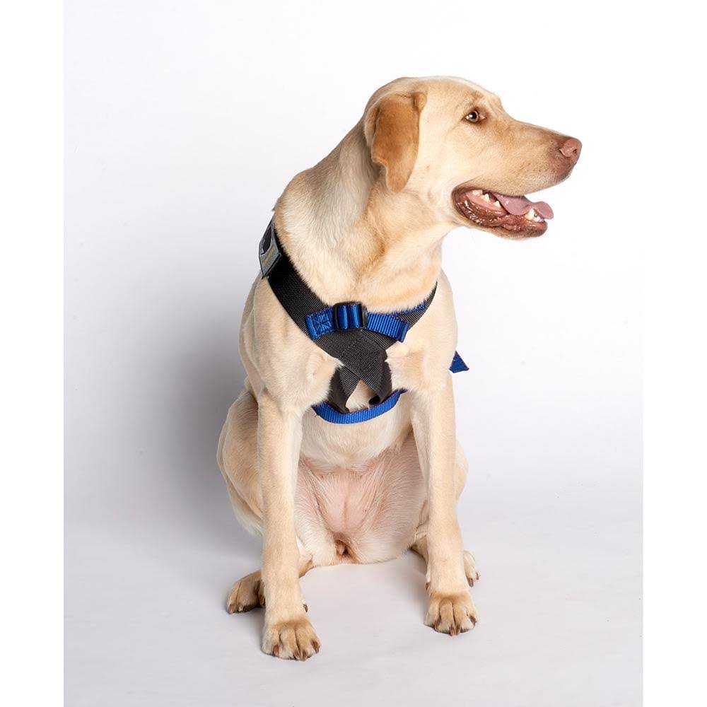 Blue Travel Safe Harness C368057
