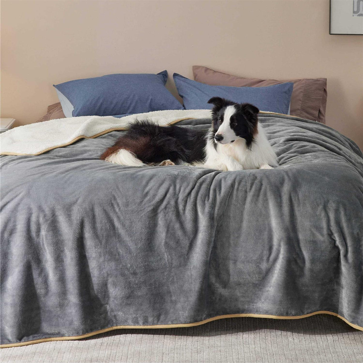 Waterproof Washable Dog Blanket B33124