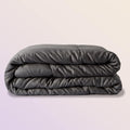 Eucalyptus Down Alternative Comforter Queen Grey X54119
