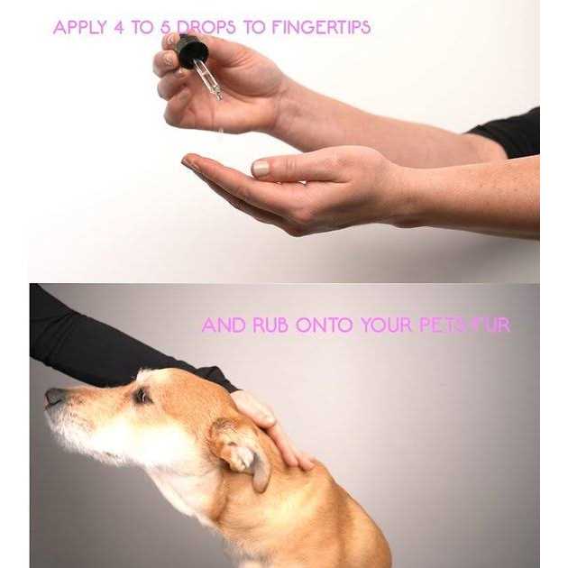 Soothing Essential Oil for Dogs K369