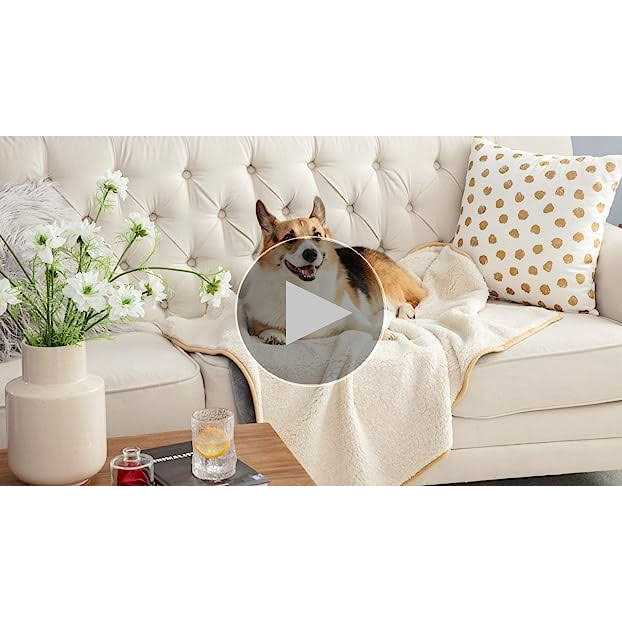 Waterproof Washable Dog Blanket B33124