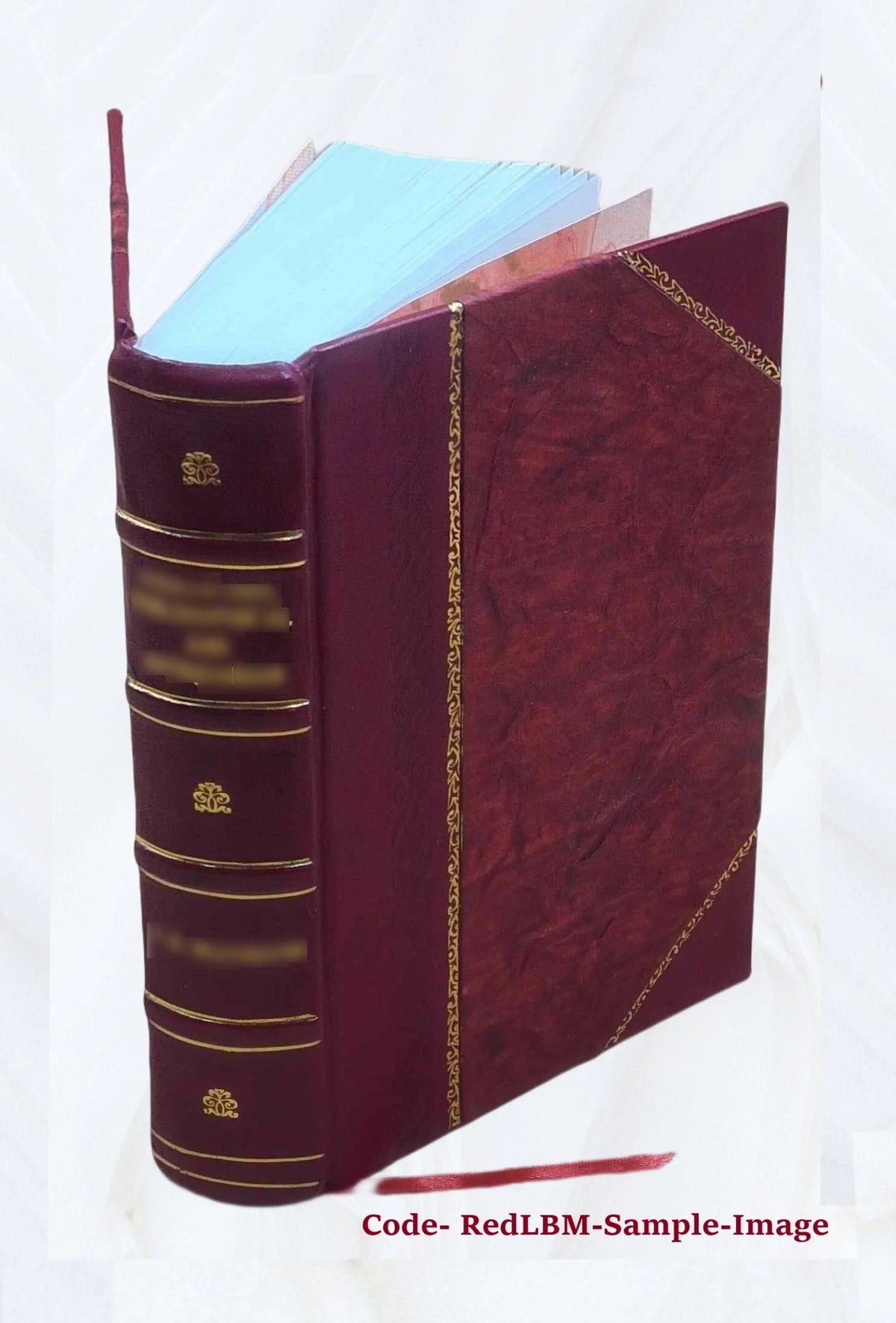 Storia di Pio VII S3362