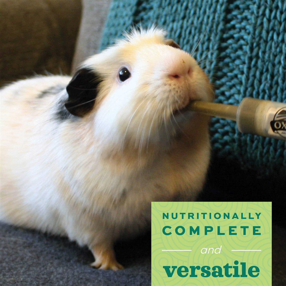 Adult Guinea Pig Food P3062