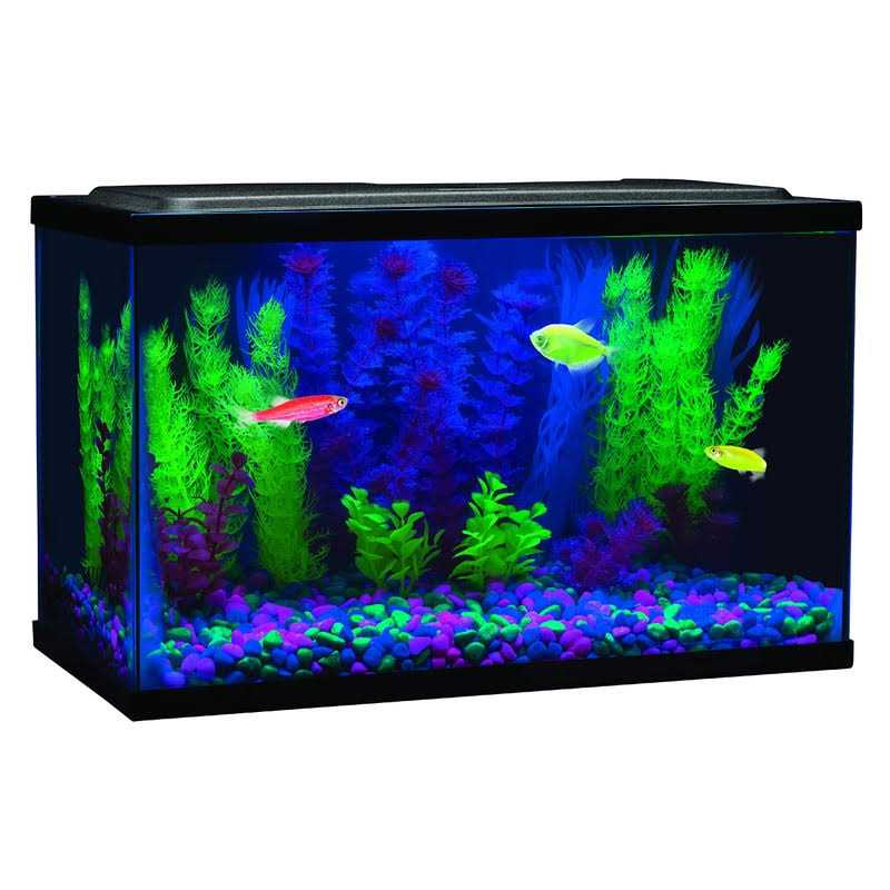 Blue LED Light J778