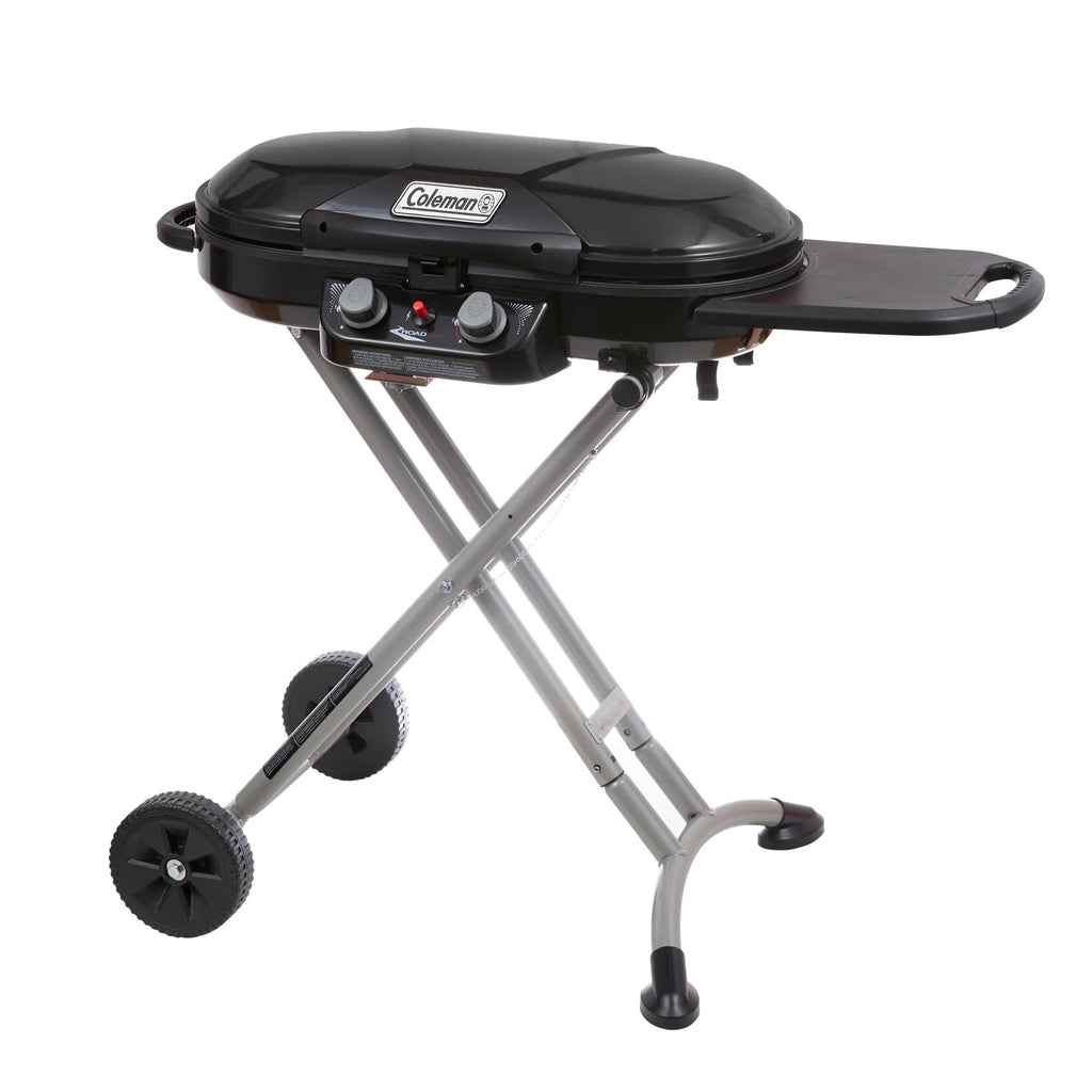 2 Burner Propane Gas Portable Grill P4622