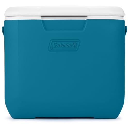 30qt Insulated Portable Cooler with Carry Handle N38464