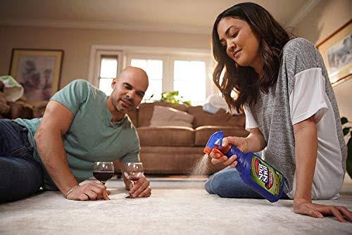 Instant Carpet Stain & Odor Eliminator 22 oz (Pack of 6) I602850