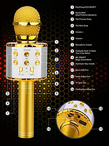 4 in 1 Wireless Karaoke Microphone with LED Lights G765022