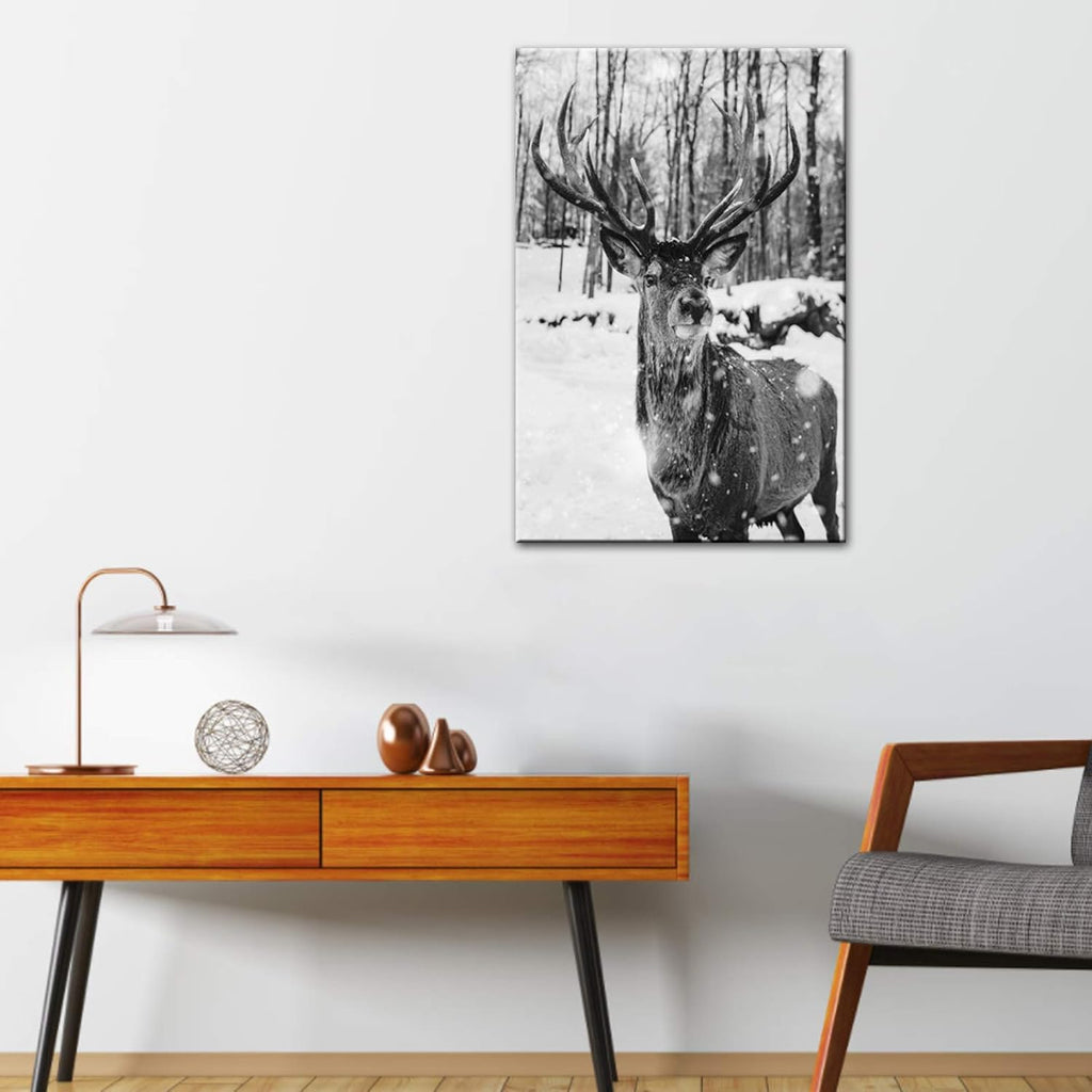 Black and White Deer in Winter Forest Canvas Print Wall Art W55429