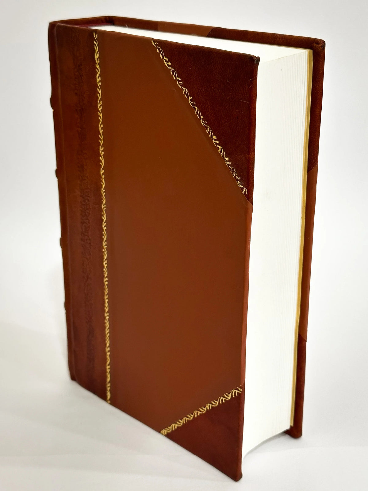 Voyages En France Volume 3 [Leather Bound] T13142