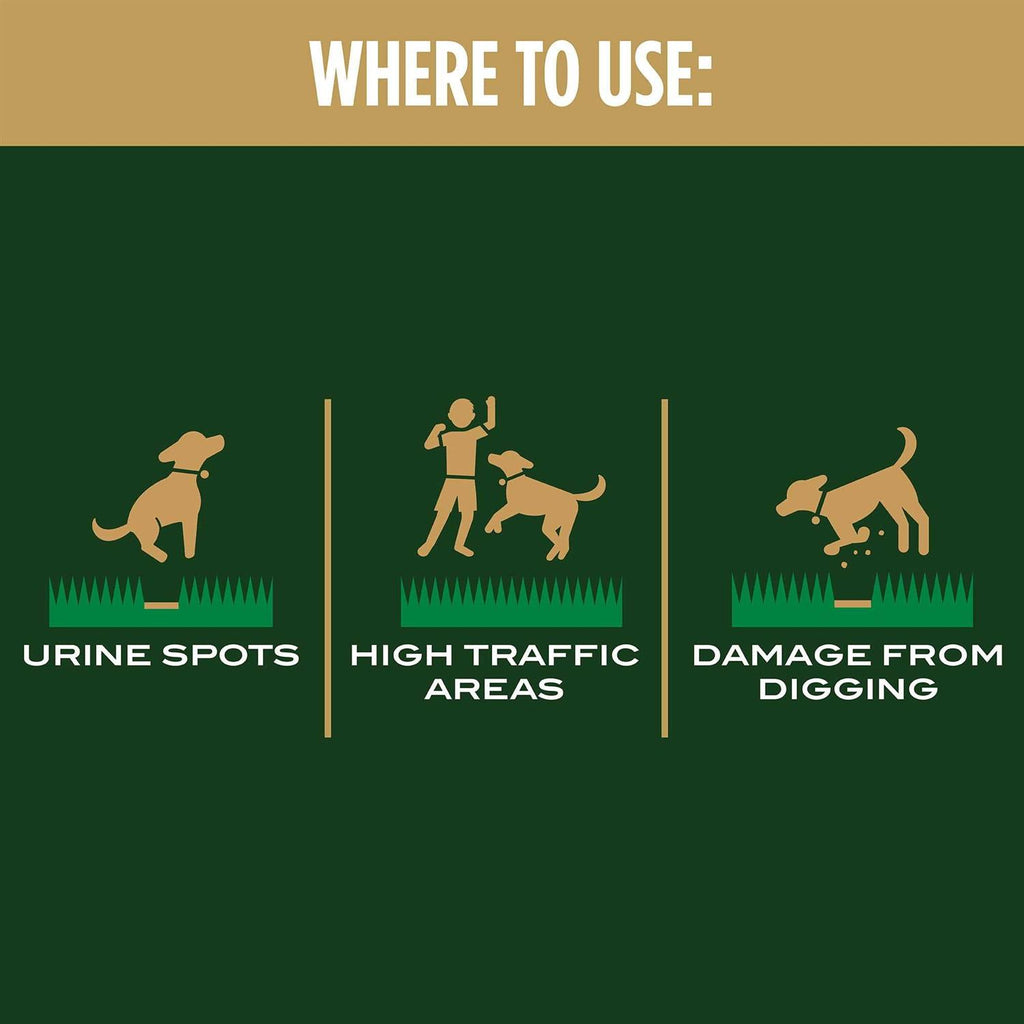 Dog Spot Repair J6517