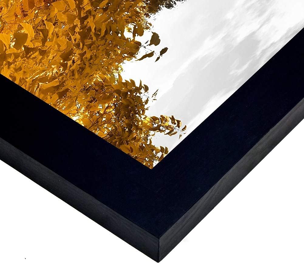 Black 3 Pack 18x24 Picture Frame Solid Wood Q138