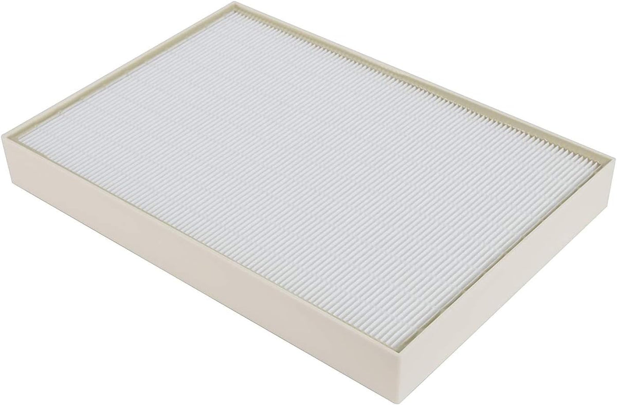 HEPA Filter and 4 Pre-Carbon Filters Pack of 2 E889