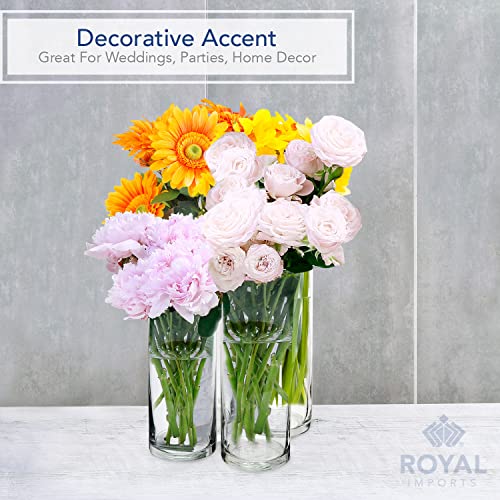 SET of 4 Glass Cylinder Vases V9424