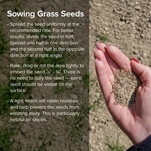 Fine-Textured Sun and Shade Grass Seed Mix, 25 lb Bag V618