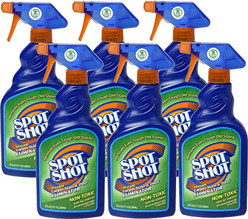 Instant Carpet Stain & Odor Eliminator 22 oz (Pack of 6) I602850