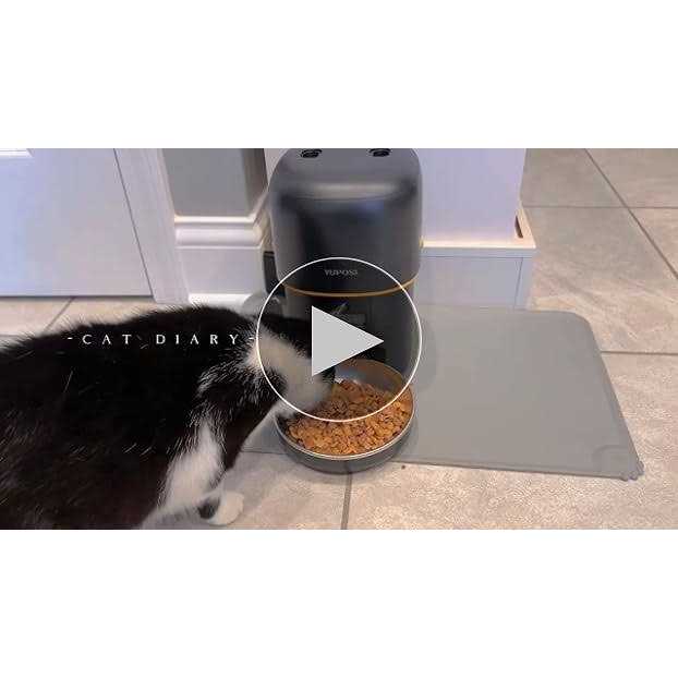 Automatic Cat Feeders 8cup/68oz Cat Food Dispenser P5903