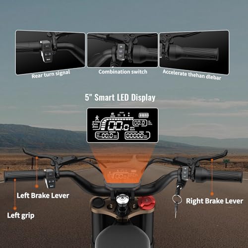 2500W Electric Dirt Bike with Removable Batteries E9192
