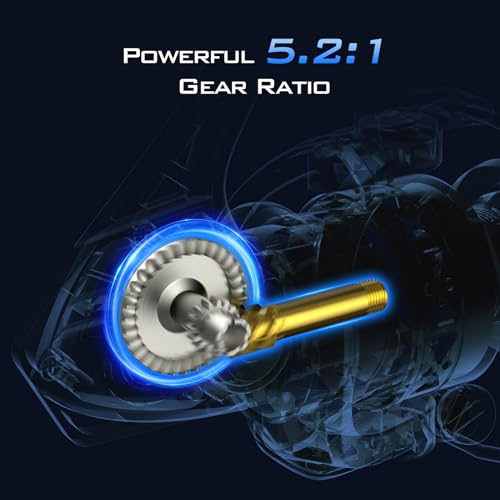 Spinning Reels, Size 500, 5.2:1 Gear Ratio, CNC Aluminum Spool, 9+1 BB Z6065
