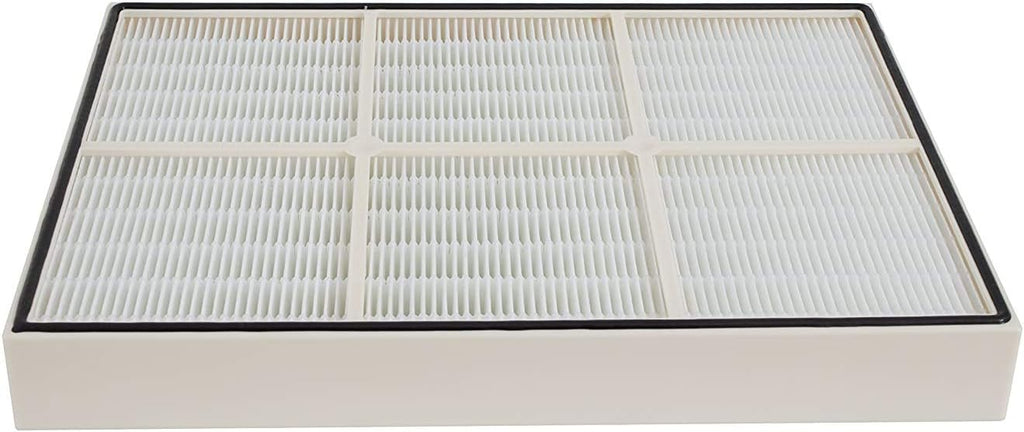 HEPA Filter and 4 Pre-Carbon Filters Pack of 2 E889