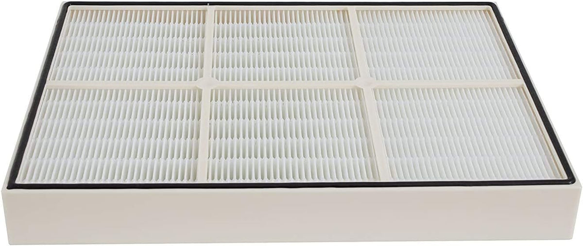 HEPA Filter and 4 Pre-Carbon Filters Pack of 2 E889