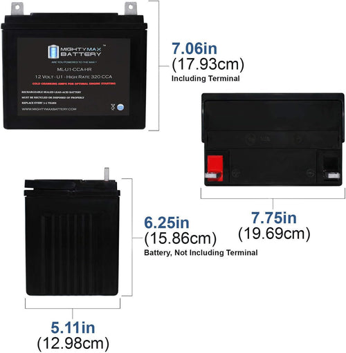 12V 320CCA Battery H2591