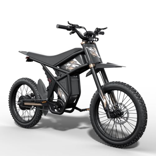 2500W Electric Dirt Bike with Removable Batteries E9192