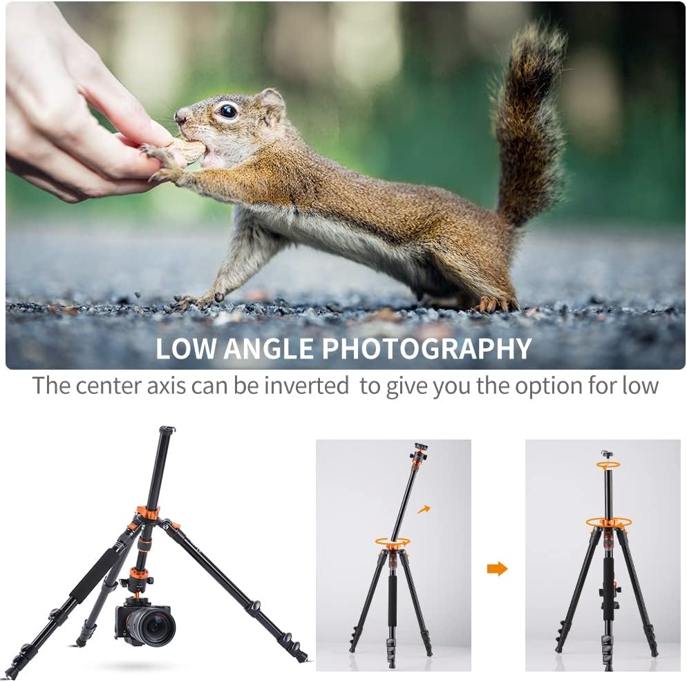 78 inch Aluminum Camera Tripod with 360 Degree Ball Head, Pack of 2 J895683
