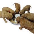 Stainless Steel Puppy Feeding Food and Water Bowls U7132