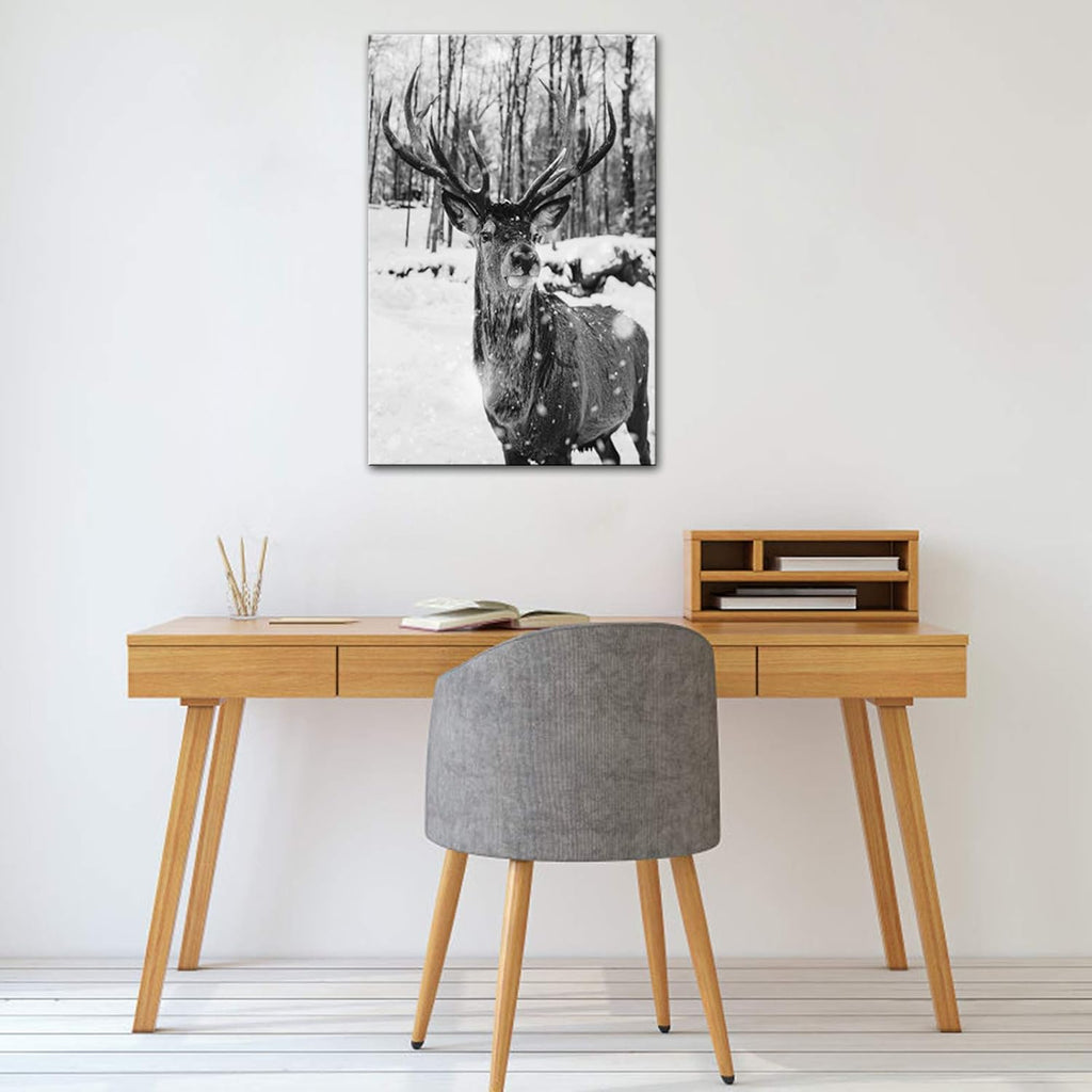 Black and White Deer in Winter Forest Canvas Print Wall Art W55429
