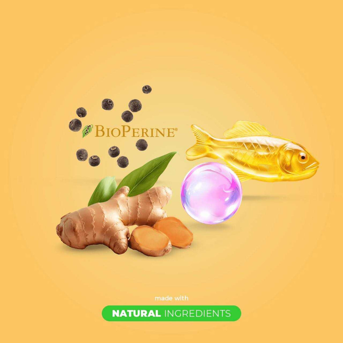 Turmeric for Dogs O456668