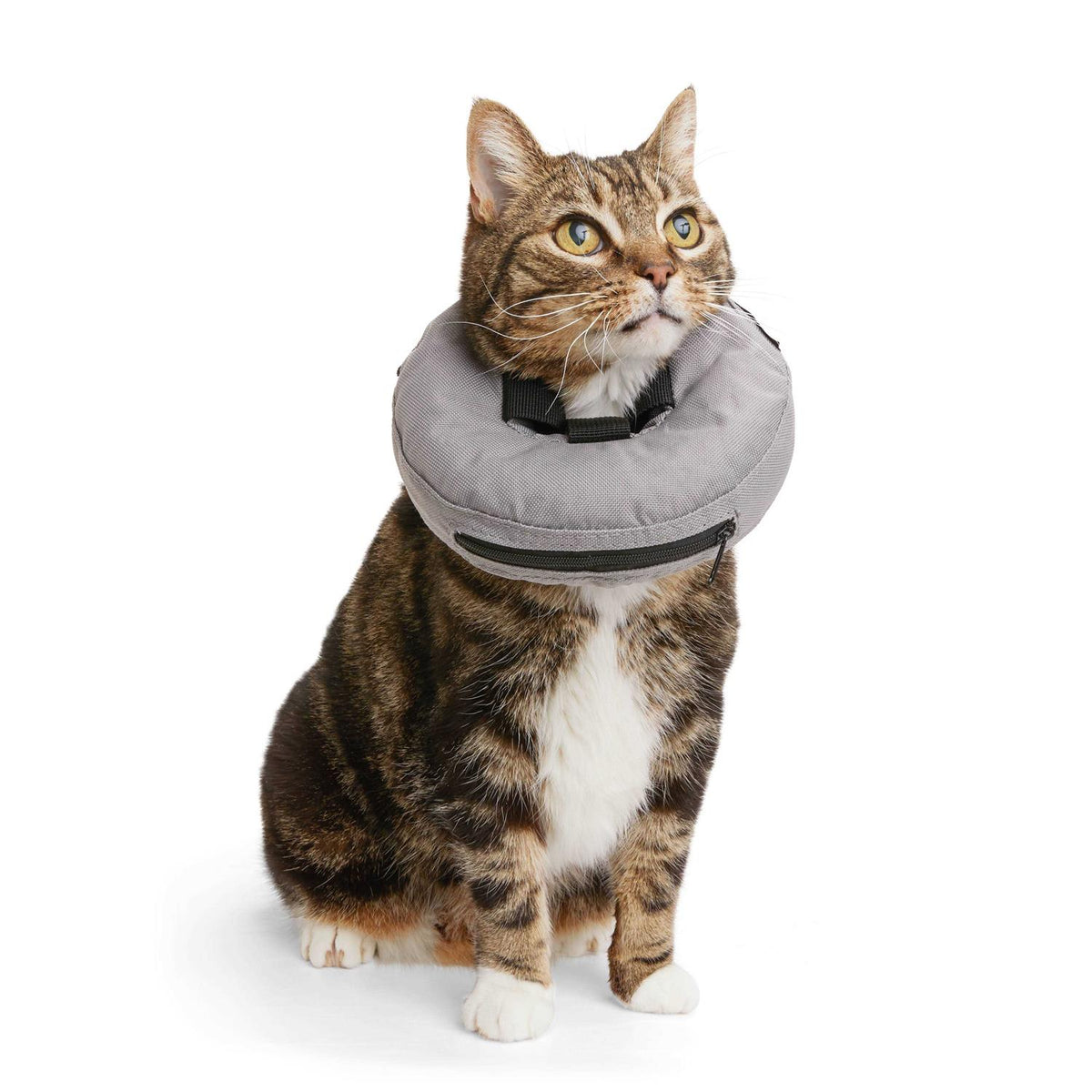 Inflatable Recovery Cat Collar E16215