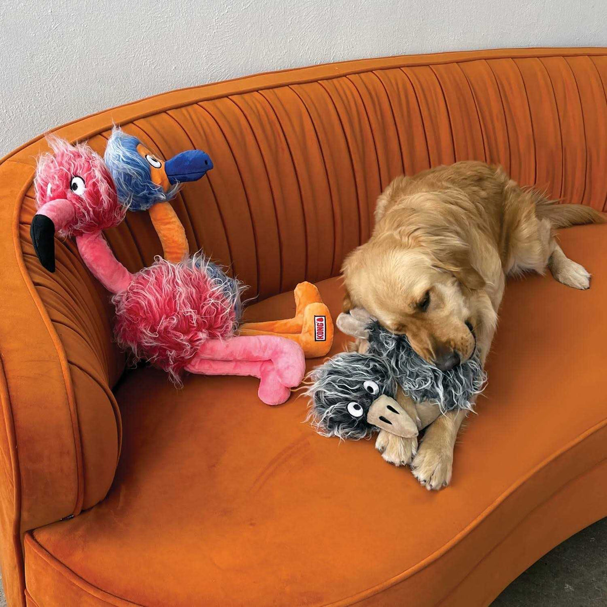 Jumbo Birds Dog Toy B124