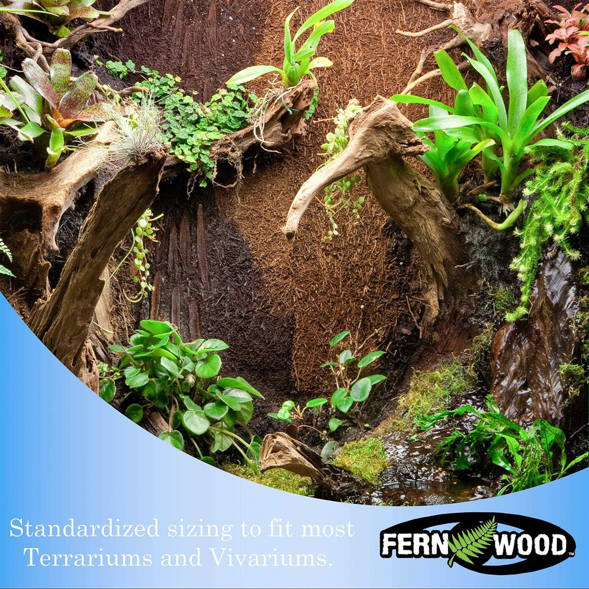 Fern Wood New Zealand Tree Fern Tropical Background Panel Twin Pack I164