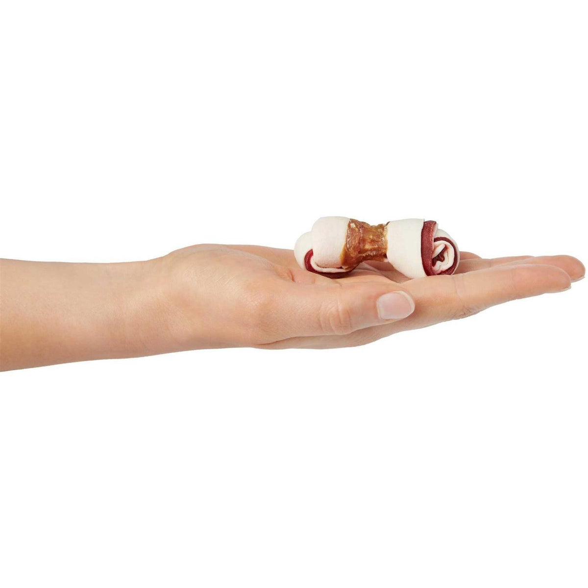 Mini Bone Rawhide Dog Treats X289