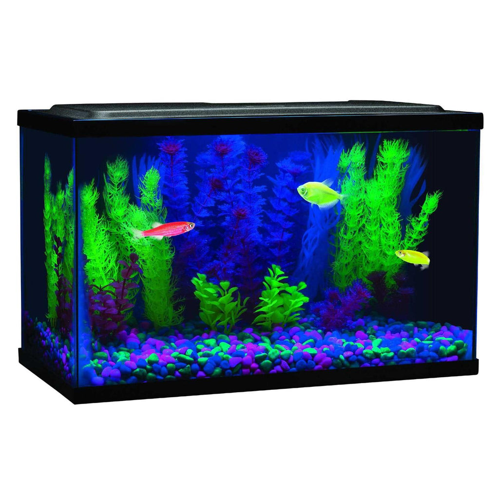 Blue LED Light J778