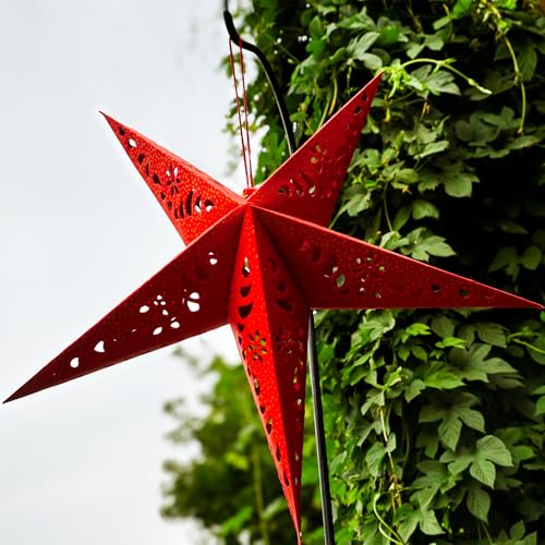 Purple Paper Star Lantern with Gold Accents X769