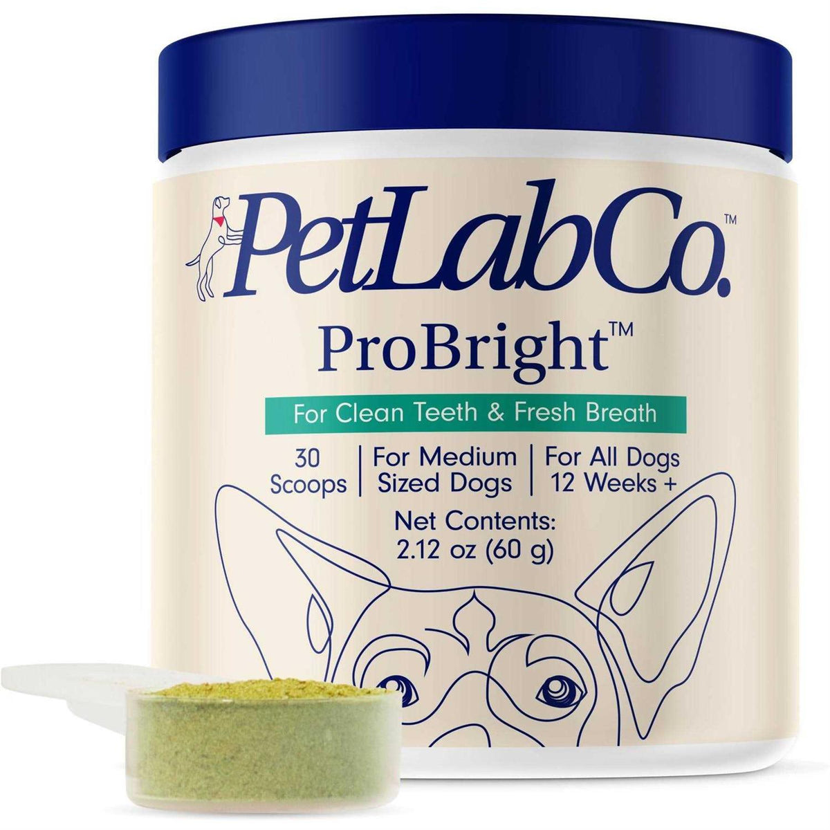 Dog Dental Powder N478