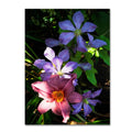 Canvas Art I213