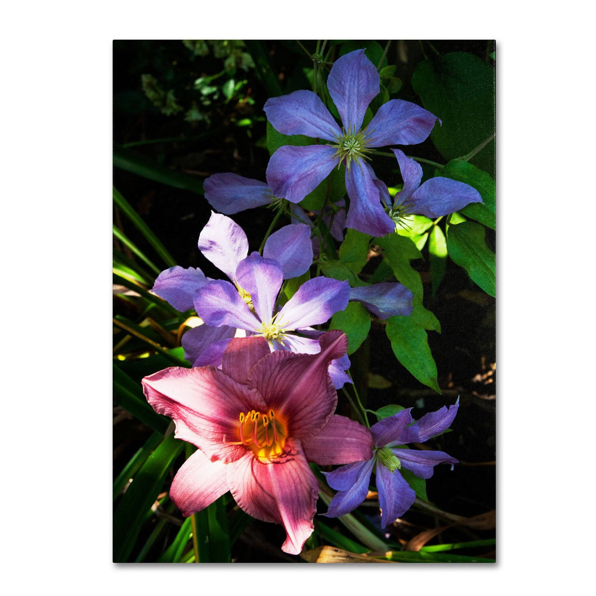 Canvas Art I213
