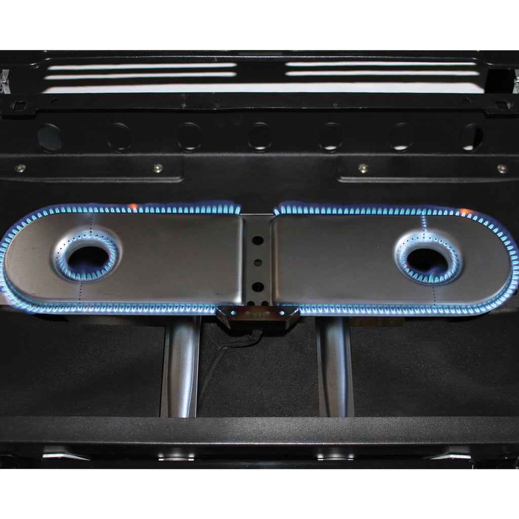 2 Burner Propane Gas Portable Grill P4622