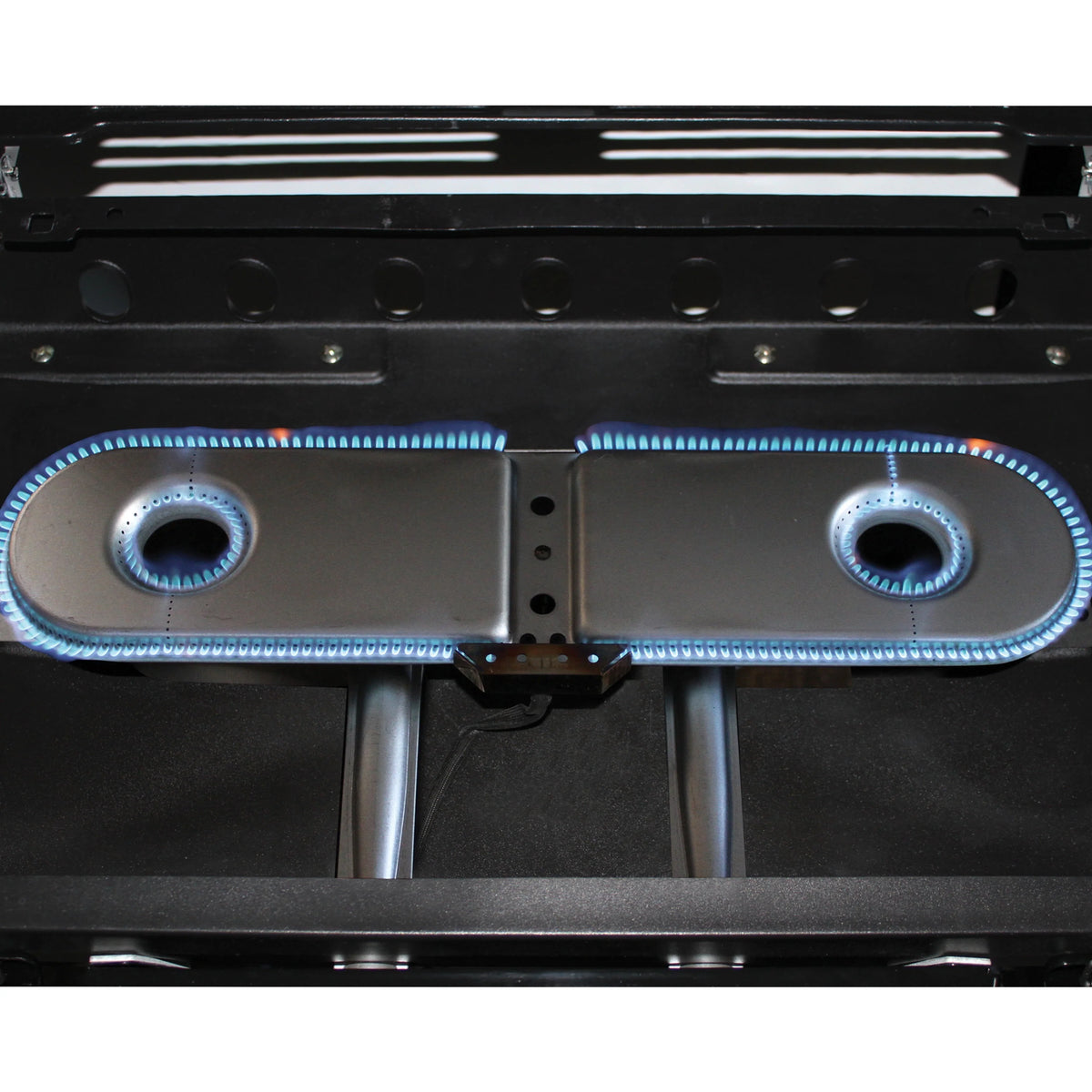 2 Burner Propane Gas Portable Grill P4622